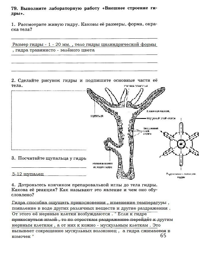 Кракен макет плейс