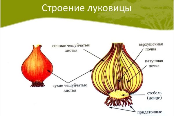 Вход в кракен