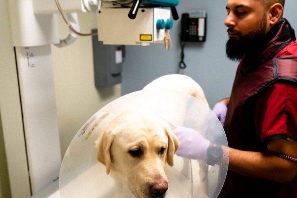 Кракен торговая